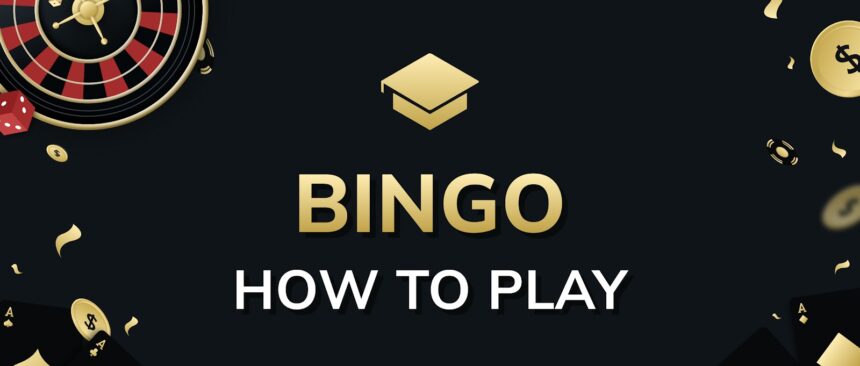 Bingo how to play